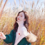 芭比宝贝的公主裙